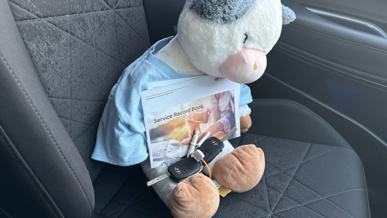 Hyundai BAYON 1.0 TGDi 48V MHEV SE Connect 5dr DCT Petrol Hatchback